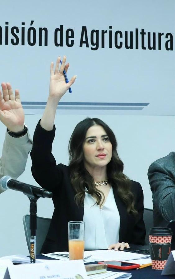 El exhorto, propuesta por la senadora Paloma Sánchez Ramos, busca que el Gobierno Federal atienda la crisis hídrica que afecta a todo el estado.