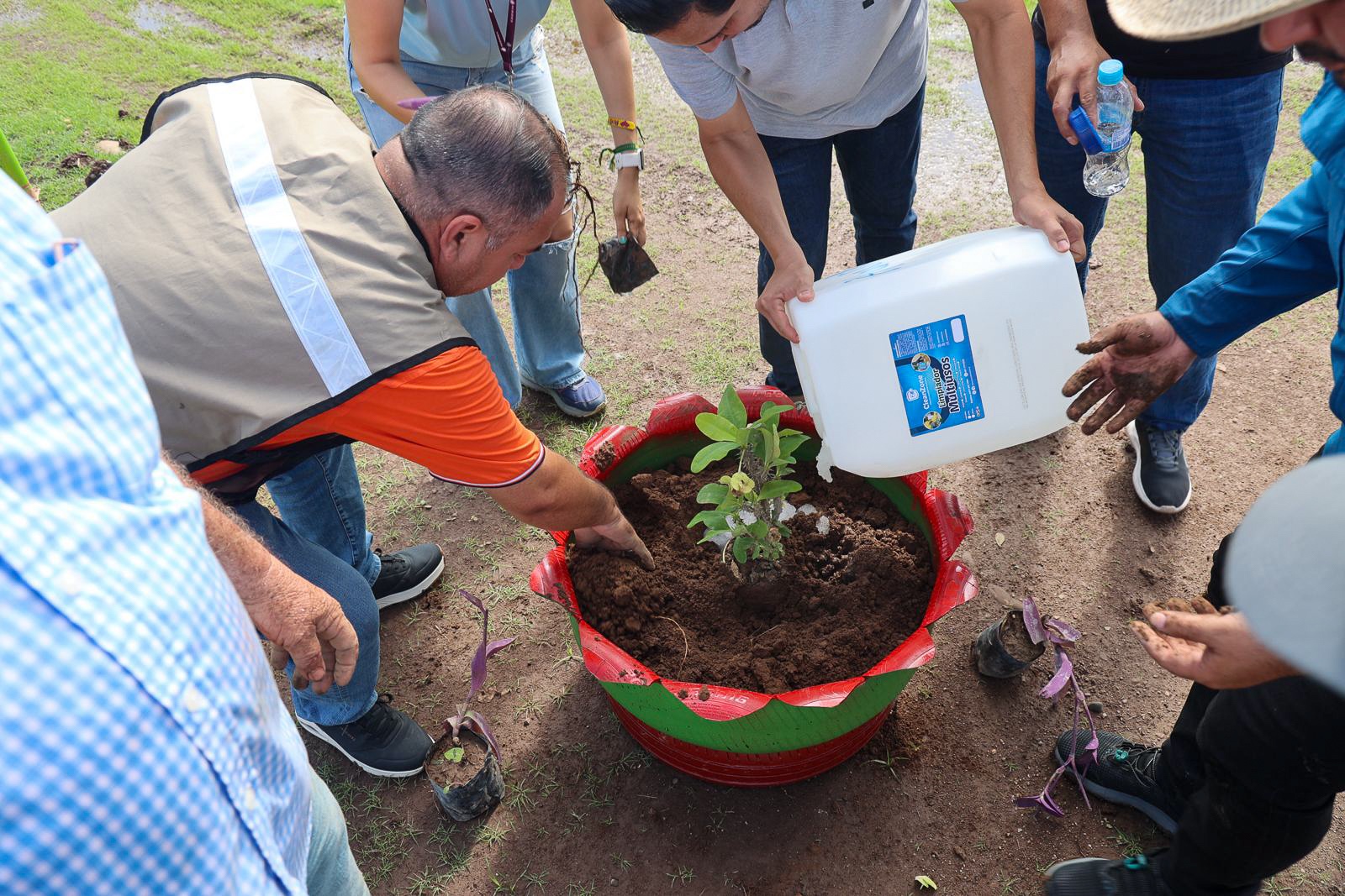 .– Con el propósito de visibilizar y generar conciencia sobre la importancia de los árboles y los bosques en el equilibrio ecológico del planeta, la Secretaría de Bienestar y Desarrollo Sustentable (SEBIDES), en el marco del Día del Árbol en México, llevó a cabo, un año más, la Jornada Estatal de Arborización. Esta acción se llevó a cabo con los 20 municipios y los organismos ambientales que trabajan en el estado de Sinaloa.