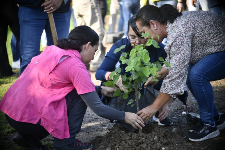 El Gobierno Municipal de Mazatlán, que encabeza la Presidenta Estrella Palacios Domínguez, llevó a cabo una jornada de arborización para conmemorar el Día del Árbol en México.