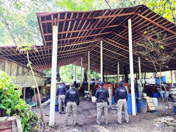 Fuerzas federales desmantelaron un laboratorio clandestino en Palenque, Chiapas, donde de elaboraba metanfetamina