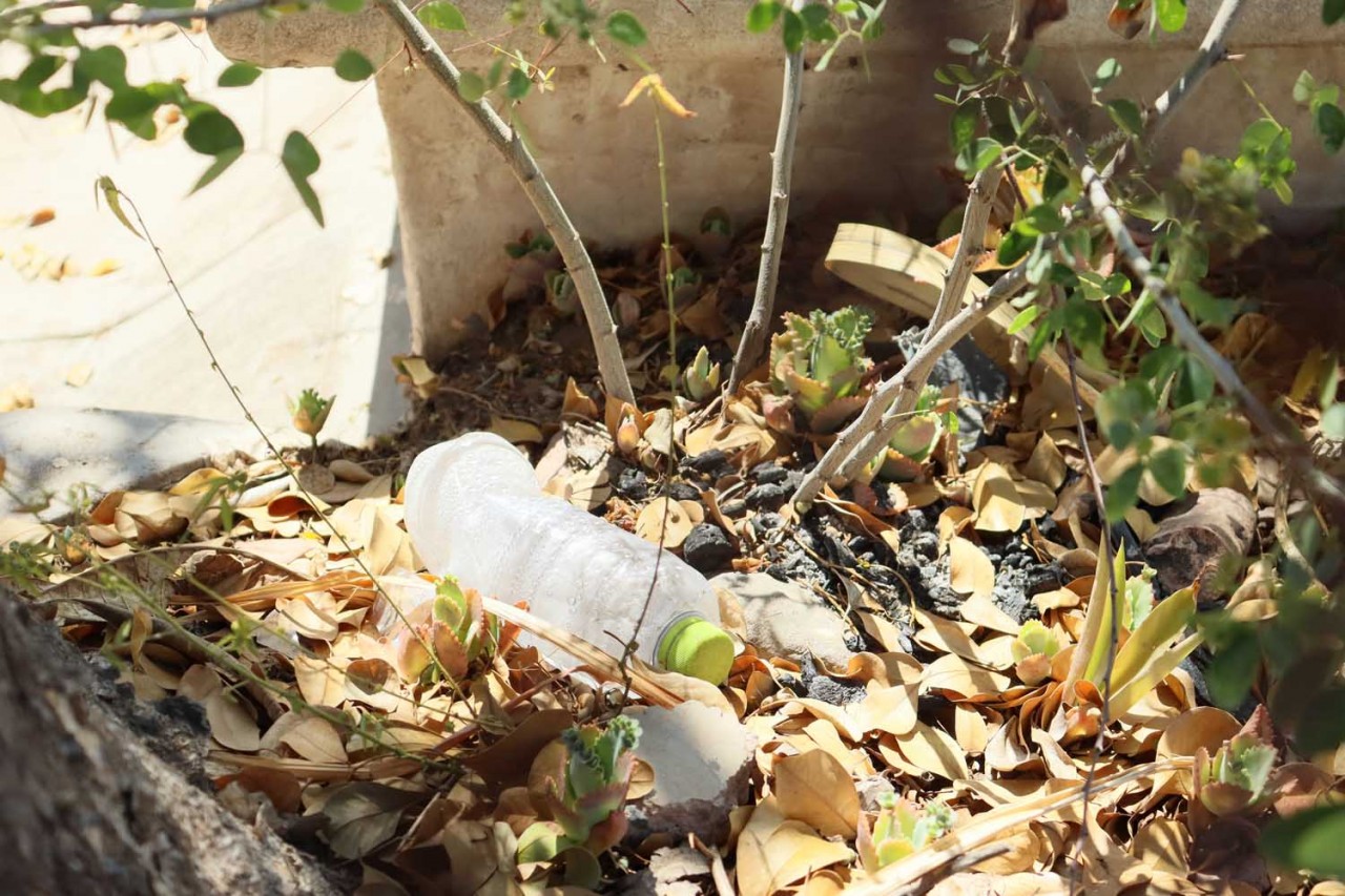 Los microplásticos se encuentran presentes en la lluvia y representan un riesgo a la salud; se requieren estrategias para resolver dicho problema