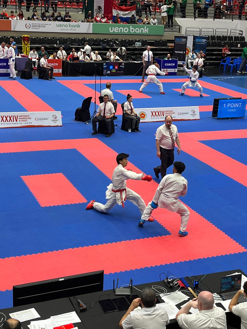 El karateca mazatleco venció a los representantes de Bolivia, Venezuela, Brasil, Estados Unidos y Puerto Rico, con una gran combinación de técnica y garra y alcanza el oro en Panamericano Juvenil en Paraguay