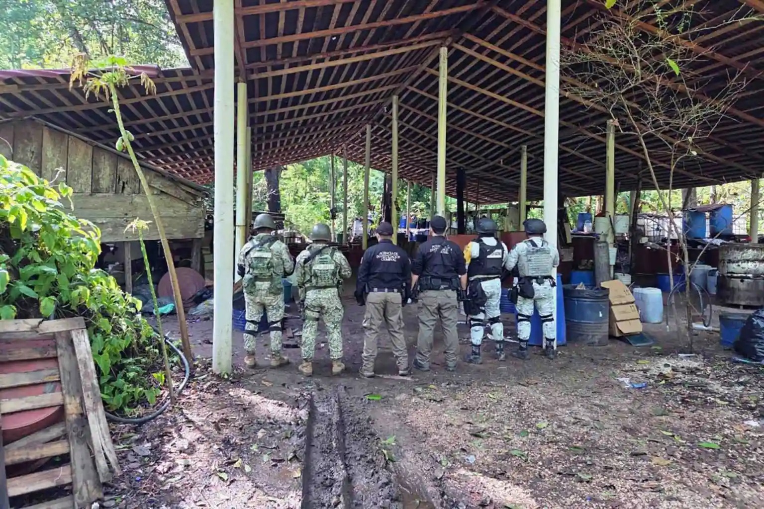 Fuerzas federales desmantelaron un laboratorio clandestino en Palenque, Chiapas, donde de elaboraba metanfetamina