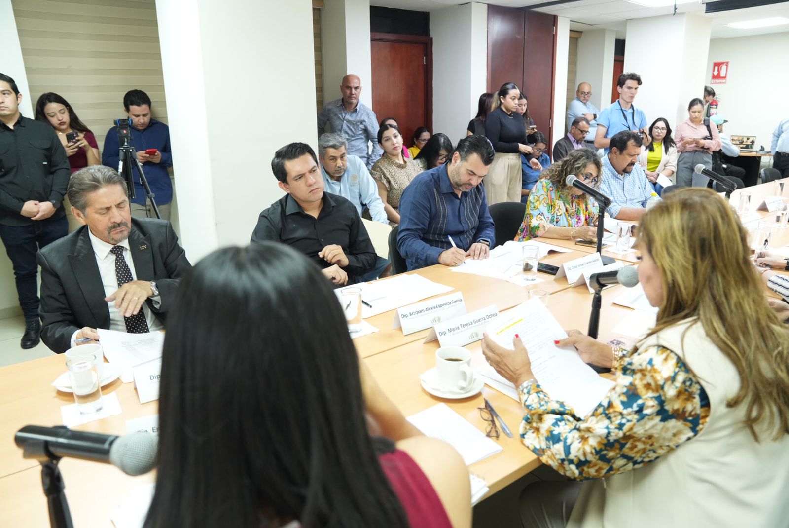 Diputadas y diputados eligen a las y los jóvenes que serán galardonados con el Premio al Mérito Juvenil 2025