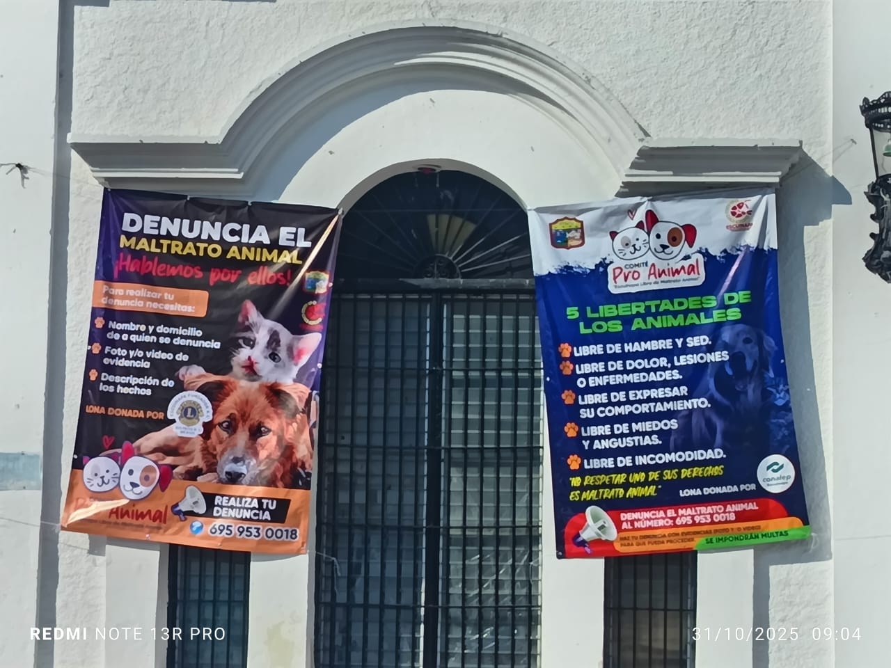 Escuinapa impulsa la Cultura de Tenencia Responsable y Derechos Animales.