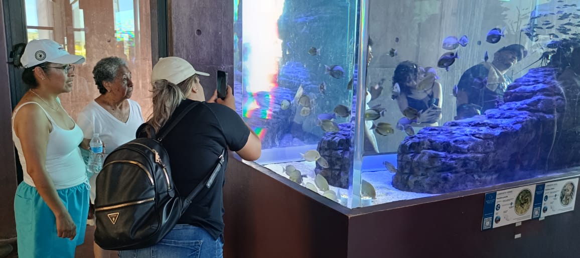 Desde su apertura, el Gran Acuario se ha convertido en un motivo más para elegir al puerto como destino vacacional. De acuerdo con reciente estudio de evaluación del destino el 99% de los entrevistados aprobó al acuario como una experiencia turística de gran valor 