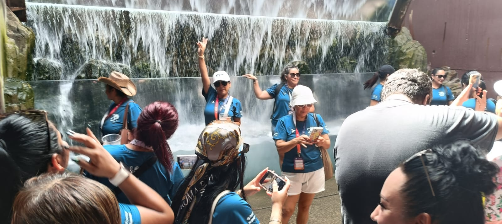 Gran Acuario Mazatlán destaca por la labor que realiza a través del Hospital de Fauna, una unidad especializada en la atención, rehabilitación y liberación de diversas especies silvestres. Este servicio, ofrecido sin costo para la comunidad, no solo contribuye a la protección de la biodiversidad regional, sino que también fortalece la conciencia ambiental entre visitantes y residentes.