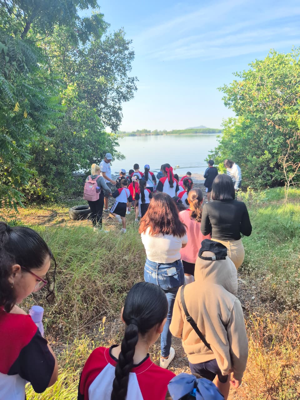 Durante esta jornada participaron más de 142 voluntarios, entre estudiantes, personal de dependencias gubernamentales, organizaciones civiles y ciudadanía comprometida con el medio ambiente. 