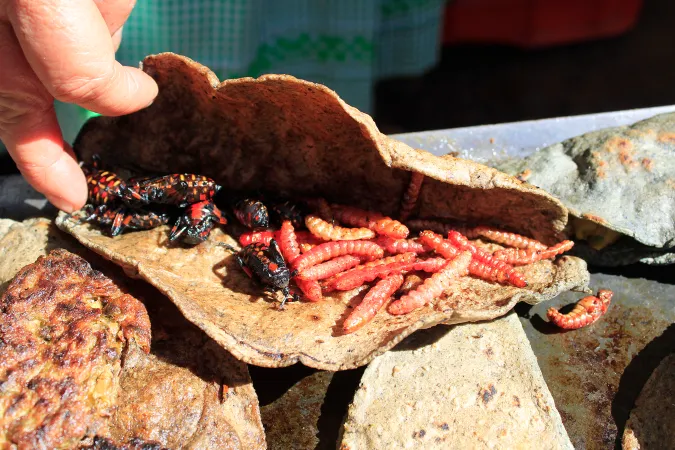 La cocina mexicana está de fiesta luego de que este 16 de noviembre de 2025 se cumplen 15 años de ser declarada como Patrimonio Cultural Inmaterial de la Humanidad por la Organización de Naciones Unidas para la Educación, la Ciencia y la Cultura, UNESCO.