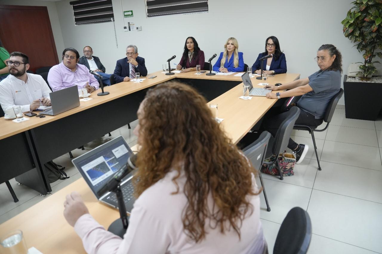 La Comisión de Turismo del Congreso del Estado recibió de la representación sur del Consejo para el Desarrollo Económico de Sinaloa (CODESIN) un anteproyecto de desarrollo de la región sur que entrelaza a los municipios de Mazatlán, Rosario y Escuinapa y que tiene incidencia directa con el de Concordia.