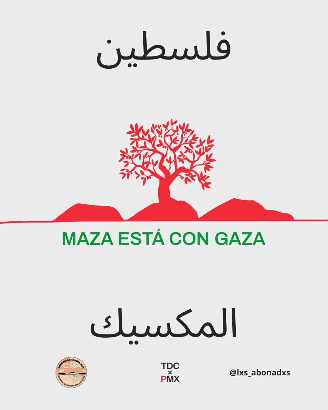 Las muestras se llevarán a cabo el 13 y 16 de diciembre en un espacio cultural de la calle Belisario Domínguez, y en el Parque Ciudades Hermanas. Con estas exhibiciones, las colectivas mazatlecas buscan sensibilizar a la gente sobre la situación en Palestina y reflexionar sobre su cercanía con la realidad sinaloense.