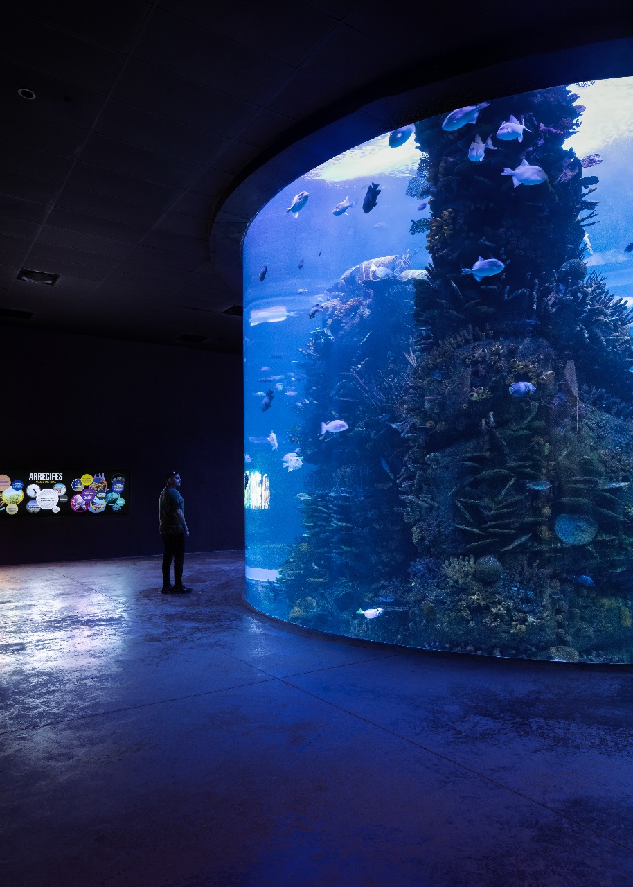 El Gran Acuario Mazatlán se prepara para vivir un 2026 lleno de innovación y crecimiento, con importantes proyectos que fortalecerán la experiencia de sus visitantes. Así lo dio a conocer su director general, Simon Norris, durante un encuentro con representantes de los medios de comunicación.