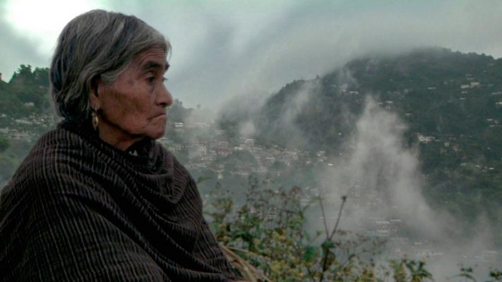 La luciérnaga de María Sabina ha sido recibido el nombre de la famosa curandera mazateca, tras una concurrida votación en línea.