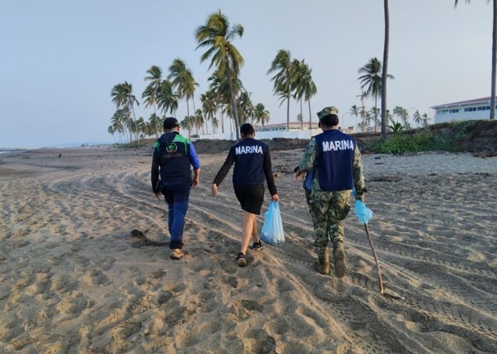 Marina recupera 2,636 huevos de tortuga marina en Playa Chila y Boca de Chila Nayarit