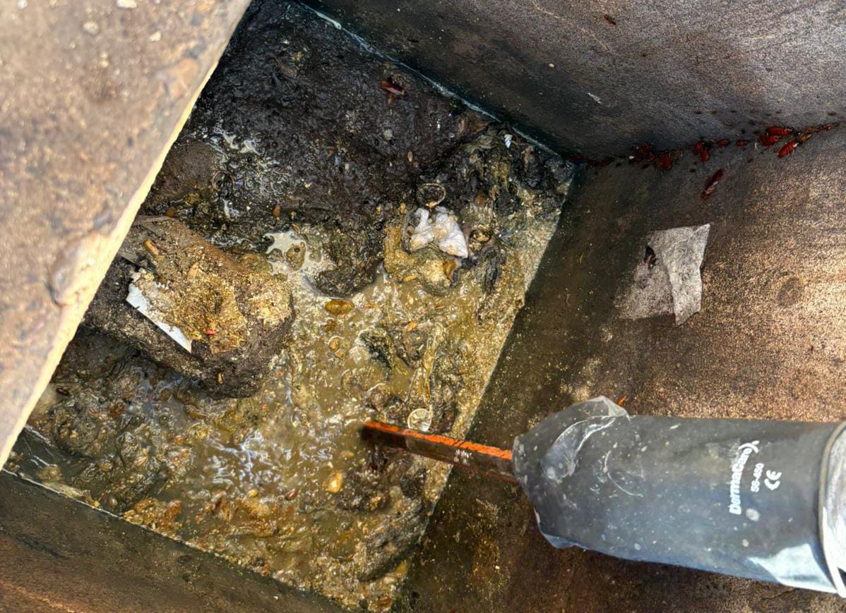 Tanto en zona urbana como en las comunidades rurales, el organismo operador resuelve problemas con el alcantarillado