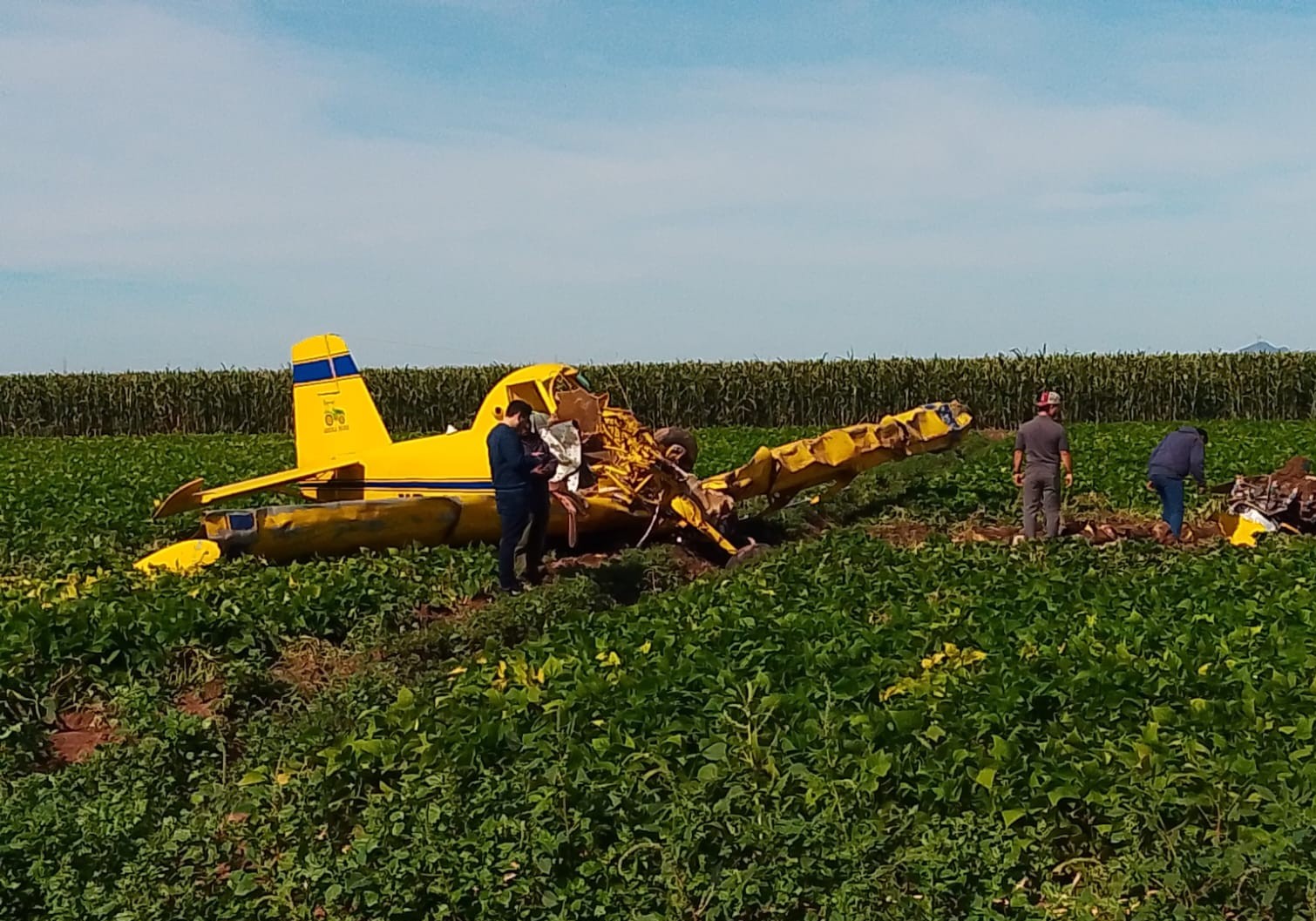 Personal Naval brinda apoyo y seguridad perimetral a una aeronave que se desplomó en inmediaciones de la Ciudad de Los Mochis, Sinaloa