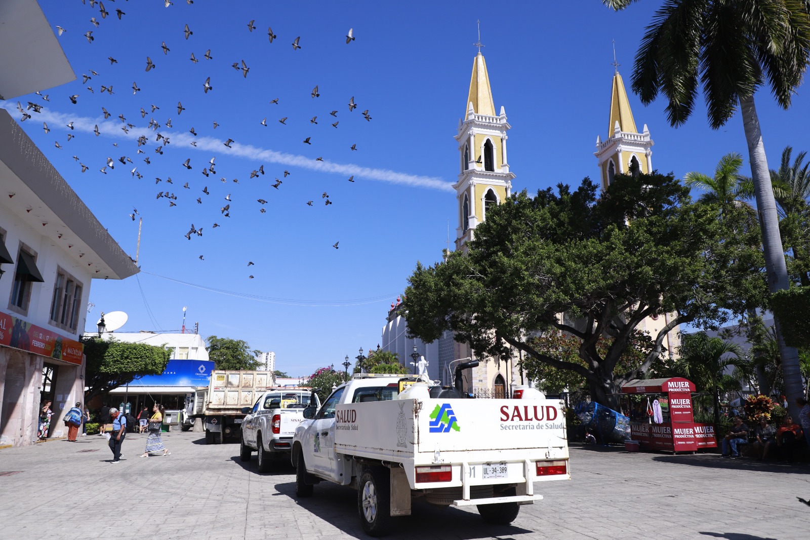 A través de esta iniciativa, el Gobierno del Estado, a través de la Secretaría de Salud, y el Ayuntamiento de Mazatlán, refuerzan las acciones contra el dengue en el puerto