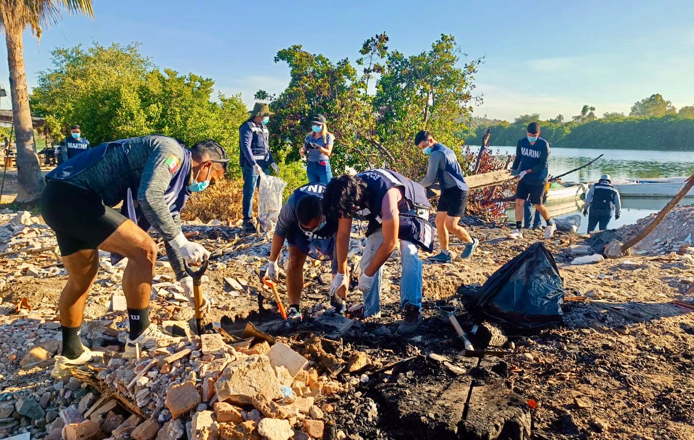La 16.ª edición de la jornada  “Cuidemos los Manglares” se realizó en coordinación con dependencias federales, el sector portuario y la iniciativa privada, sumando esfuerzos en favor del medio ambiente