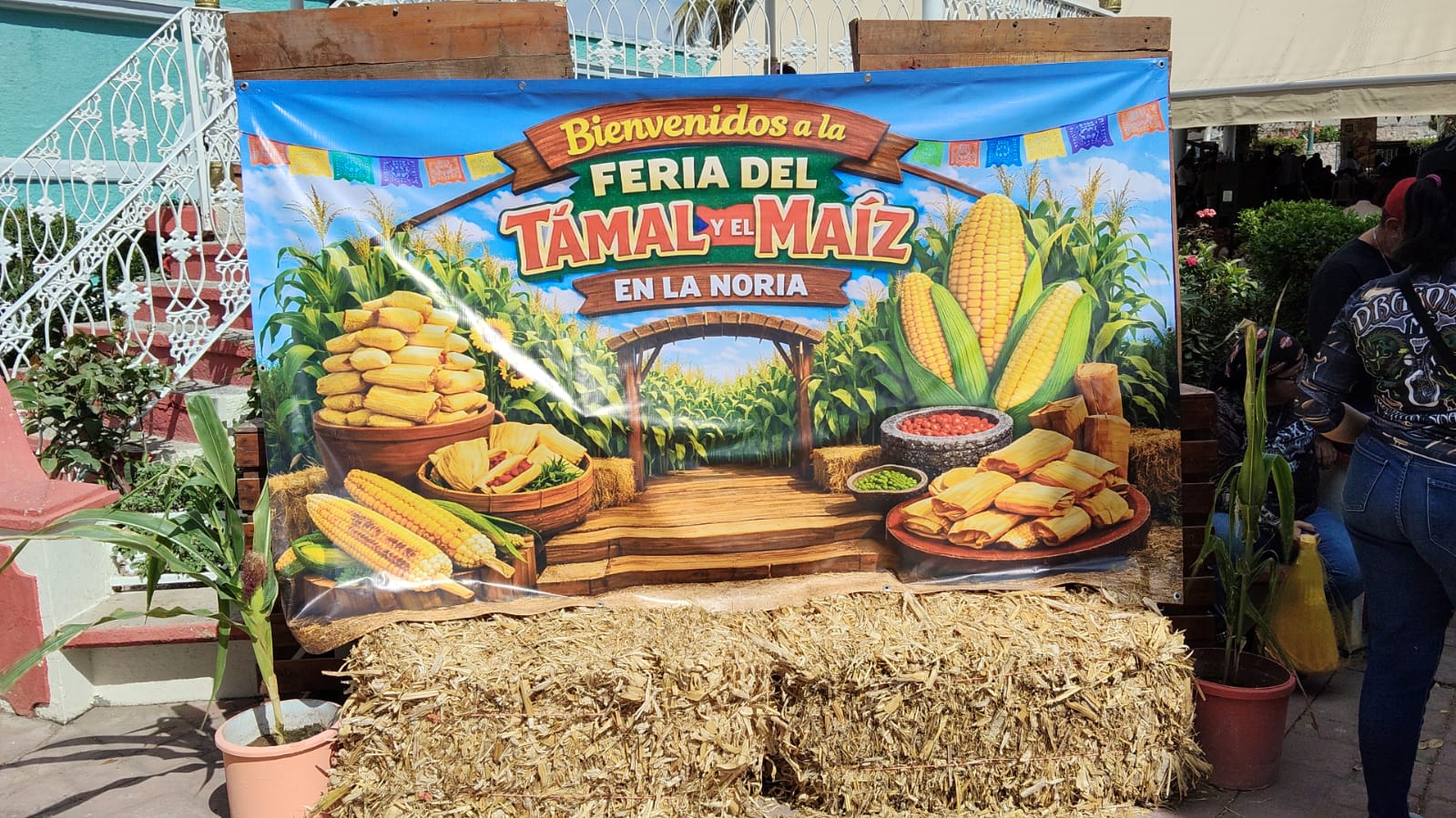 La entidad registró una ocupación hotelera promedio del 69% y una derrama económica superior a los 893 millones de pesos del 31 de enero al 2 de febrero