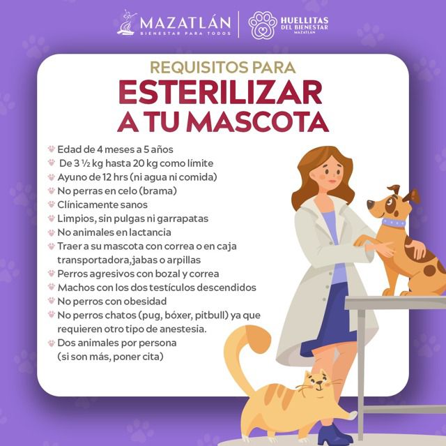 La Dirección de Ecología y Medio Ambiente acercará el camión esterilizador para promover el bienestar animal y la salud pública en la sindicatura

