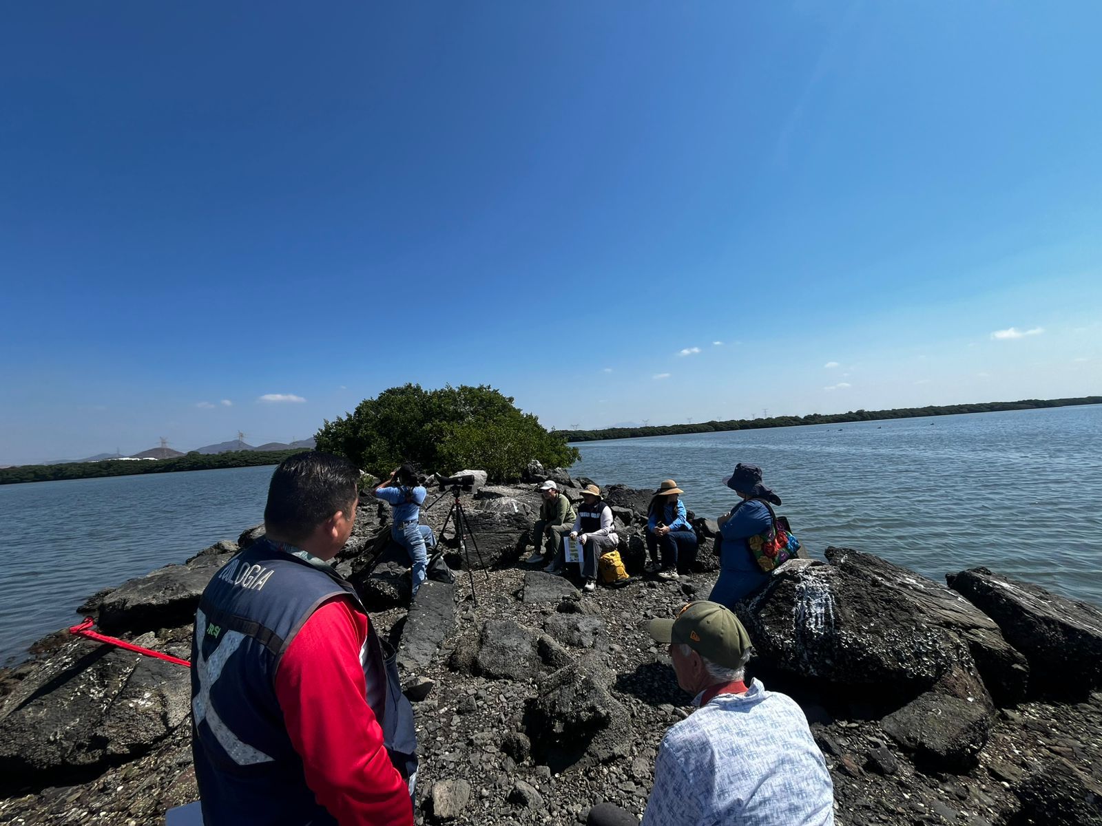 Mazatlán suma 42 toneladas de desechos recolectados en la 17va jornada de “Cuidemos los Manglares”: Estrella Palacios
A través de este programa de cuidado ambiental, se han retirado residuos en distintos esteros del municipio, con la participación de alrededor de 2 mil voluntarios
