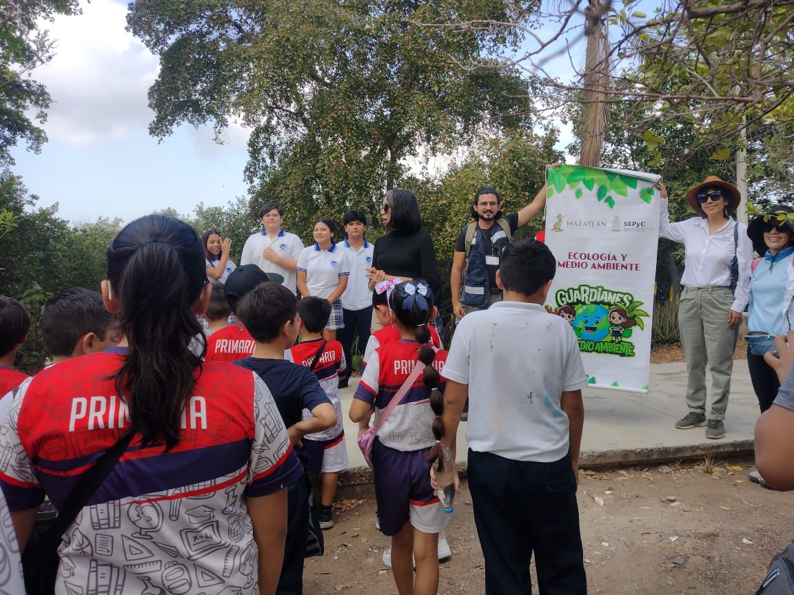 Mazatlán suma 42 toneladas de desechos recolectados en la 17va jornada de “Cuidemos los Manglares”: Estrella Palacios
A través de este programa de cuidado ambiental, se han retirado residuos en distintos esteros del municipio, con la participación de alrededor de 2 mil voluntarios
