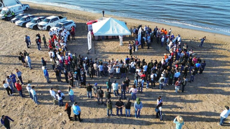 Las labores de limpieza se realizaron en playas emblemáticas de los municipios de Ahome, Guasave, Angostura, Navolato, Culiacán, Eldorado, Elota, San Ignacio, Mazatlán, Rosario y Escuinapa