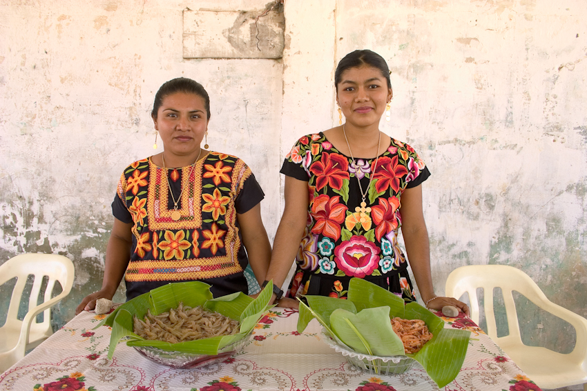 ¿Sabías que México es uno de los diez países del mundo con más lenguas indígenas? Te contamos más acerca de la diversidad lingüística nacional