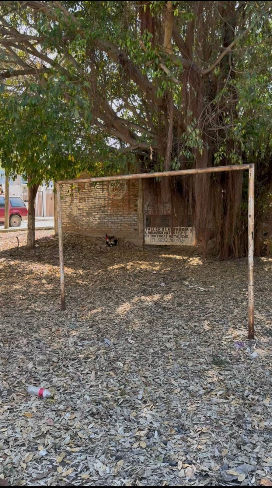 La regidora Maribel Chollet Morán realizó un recorrido en la colonia Colosio SI, atendiendo la solicitud de vecinas y vecinos que manifiestan estar cansados de tocar puertas sin ser escuchados. 