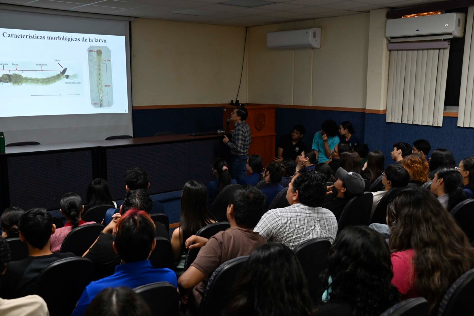 ¿Sabías que en Sinaloa hay más de 250 especies de mosquitos? Investigador de la UAS revela nuevos datos sobre la culicifauna; actualizan lista de organismos