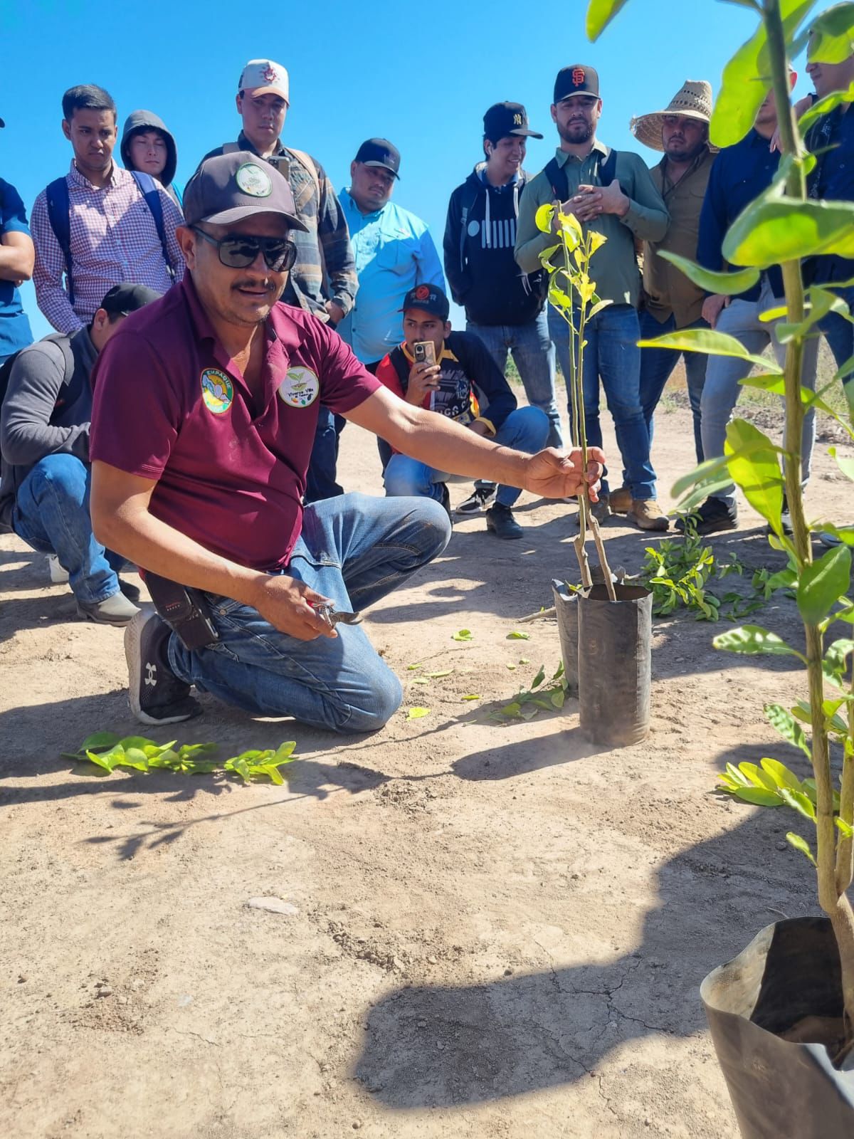 Estudiantes de la UAS fortalecen su formación profesional con prácticas de campo en el Centro Frutícola de Las Higueras