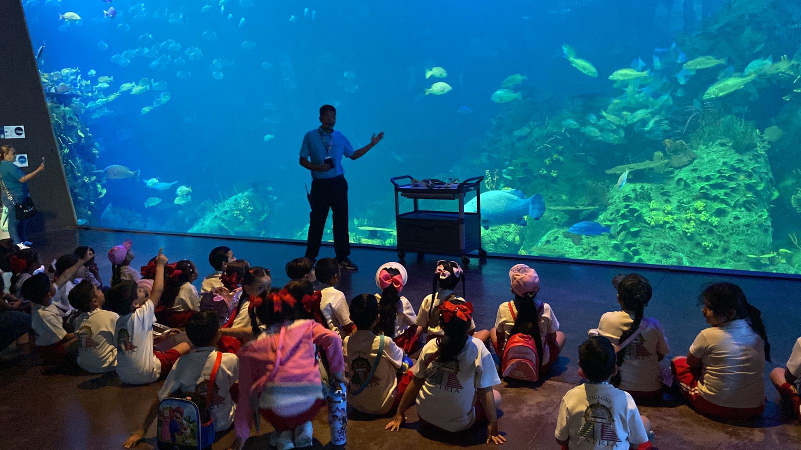 El Gran Acuario Mazatlán Mar de Cortés se consolida como un referente en educación ambiental, acercando el conocimiento y la conservación de la vida marina a niños, jóvenes y adultos a través de experiencias significativas, inclusivas y alineadas a estándares internacionales.