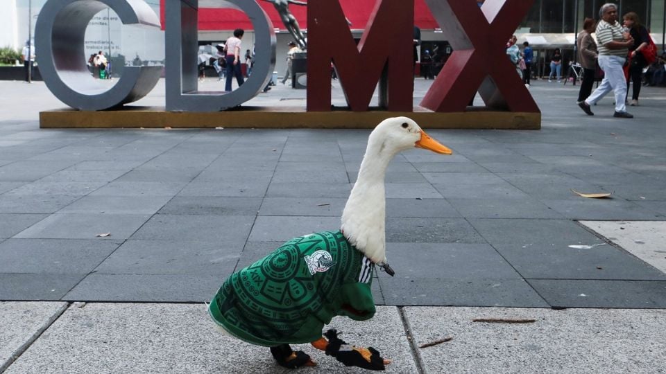 ¡Cuánta sensibilidad! Importa más un Pato que atender a Madres Buscadoras.
Siguen lucrando políticamente con la indignación por las altas tarifas eléctricas.
¡Ay, Nanita… l PAN sinaloense avienta la tarraya y ya pescaron a Estrada Burreiro!
La ausente come garnachas se pitorrea…