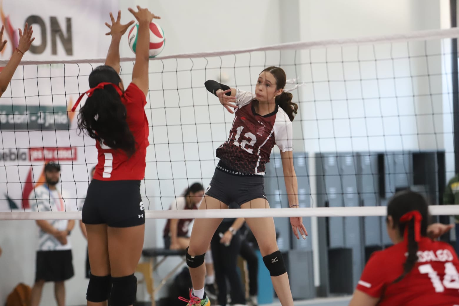 El voleibol sinaloense continúa consolidándose como uno de los principales semilleros de talento del país, y de cara a los próximos Juegos Centroamericanos y del Caribe, aportará atletas originarios del estado a la Selección Mexicana en las modalidades de Voleibol de Sala y de Playa.