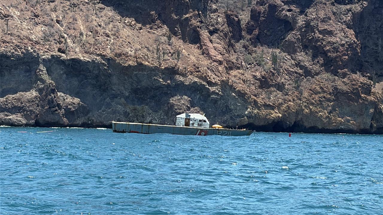 A través del Sistema Arrecifal Artificial Sonorense, se fortalecen los intereses marítimos nacionales y se protege la flora y fauna marina de la región.